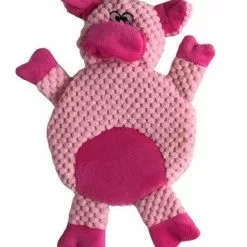 Master Paws® Durable Stuffing Free Dog Toy - Assorted -Master Paws Sales Store 253 8193P1