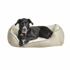 Master Paws® 36" X 27" Rectangular Cuddler Dog Bed - Assorted Colors -Master Paws Sales Store 2531084 P sc2cmyk