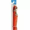 Master Paws® 5' Orange Reflective Adjustable Nylon Dog Leash - Medium -Master Paws Sales Store 2533284