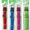 Master Paws® Adjustable Small Nylon Dog Collar - Assorted Colors 2 Master Paws® Adjustable Small Nylon Dog Collar - Assorted Colors -Master Paws Sales Store 2533316 SM Col Slip