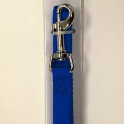 Master Paws® 5' Blue Nylon Dog Leash - Medium
