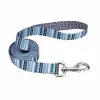 Master Paws® 6' Teal Dog Leash