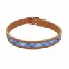 Master Paws® Tan & Blue Leather Window Dog Collar - 18" X 1"