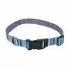 Master Paws® Blue Paw & Bone Adjustable Nylon Dog Collar - Medium