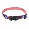 Master Paws® Red & Blue Stars Adjustable Nylon Dog Collar - Small -Master Paws Sales Store 2533834