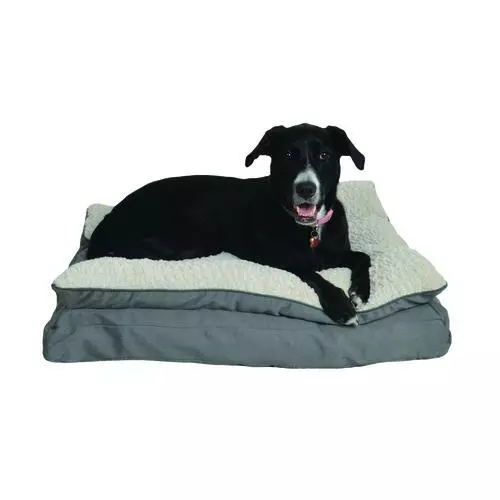 Master Paws® 36" X 27" Premium Pillowtop Dog Bed - Assorted Colors 4 Master Paws® 36" X 27" Premium Pillowtop Dog Bed - Assorted Colors - Image 2