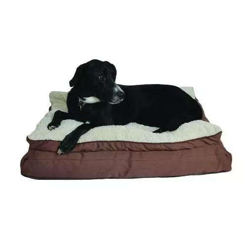 Master Paws® 36" X 27" Premium Pillowtop Dog Bed - Assorted Colors 5 Master Paws® 36" X 27" Premium Pillowtop Dog Bed - Assorted Colors - Image 3
