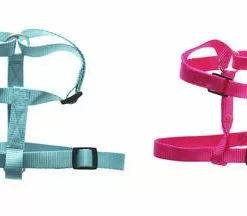 Master Paws® Medium Adjusable Nylon Dog Harness - Assorted Colors