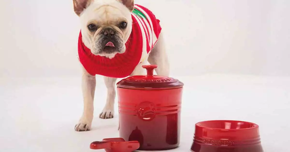 Master Paws Sales Store 3 Master Paws Sales Store -Master Paws Sales Store 124