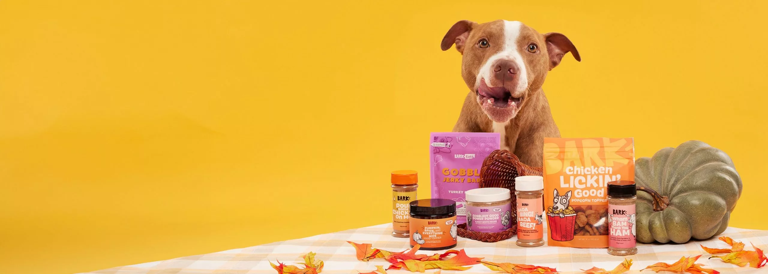 Master Paws Sales Store 2 Master Paws Sales Store -Master Paws Sales Store 125 scaled