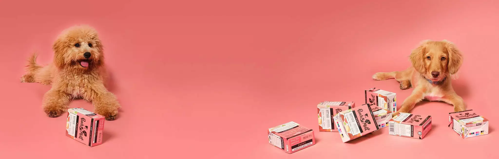 Master Paws Sales Store -Master Paws Sales Store 126